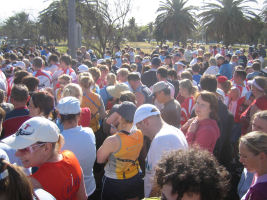 Das Feld am Start