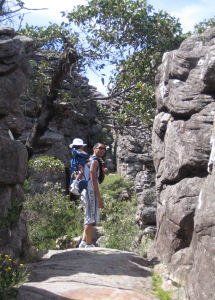 Auf dem Weg zum Pinnacle