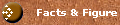 Facts & Figure