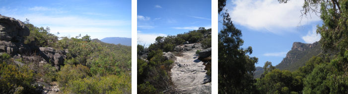 Mt. Rosea Loop Tour