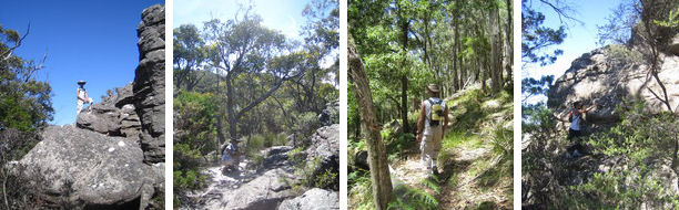Mt. Rosea Loop Tour