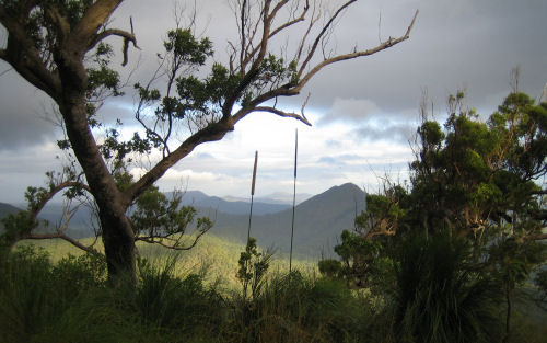 Wanderung bei Rockhampton Wanderung bei Rockhampton